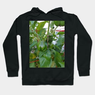 Green Darner Dragonfly Hoodie